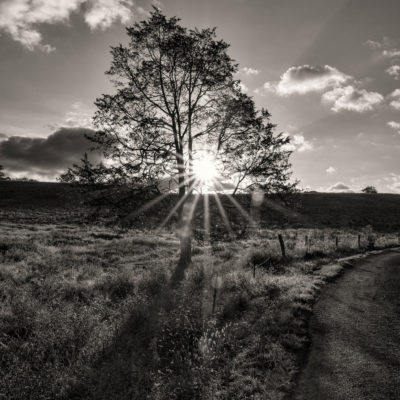 Mountain Sunrise in Black and White – Nikon D500 & Tmaron 15-30 G2