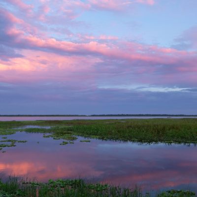 Kissimmee Lakefront Sunset – Nikon D500 & Tamron 15-30 G2