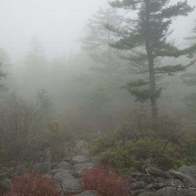 Dolly Sods Wilderness Area, WV in fog – Nikon D7100 & Tamron 18-400